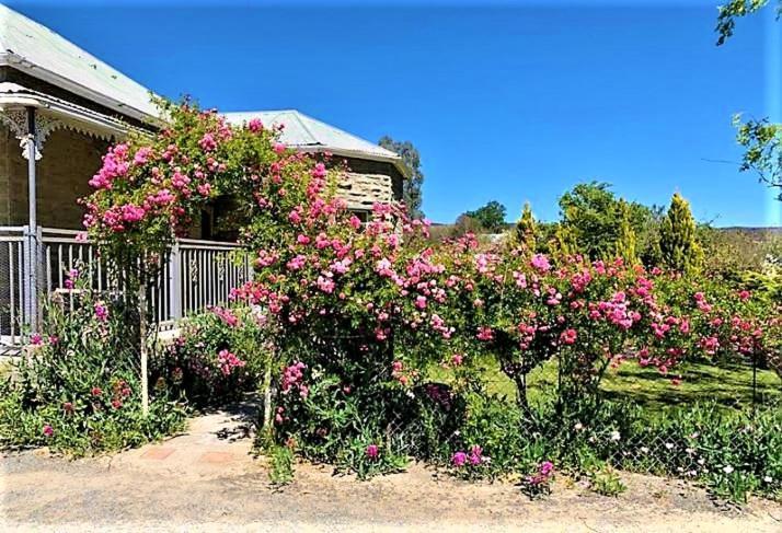 Jack Of The Karoo Villa Sutherland Buitenkant foto
